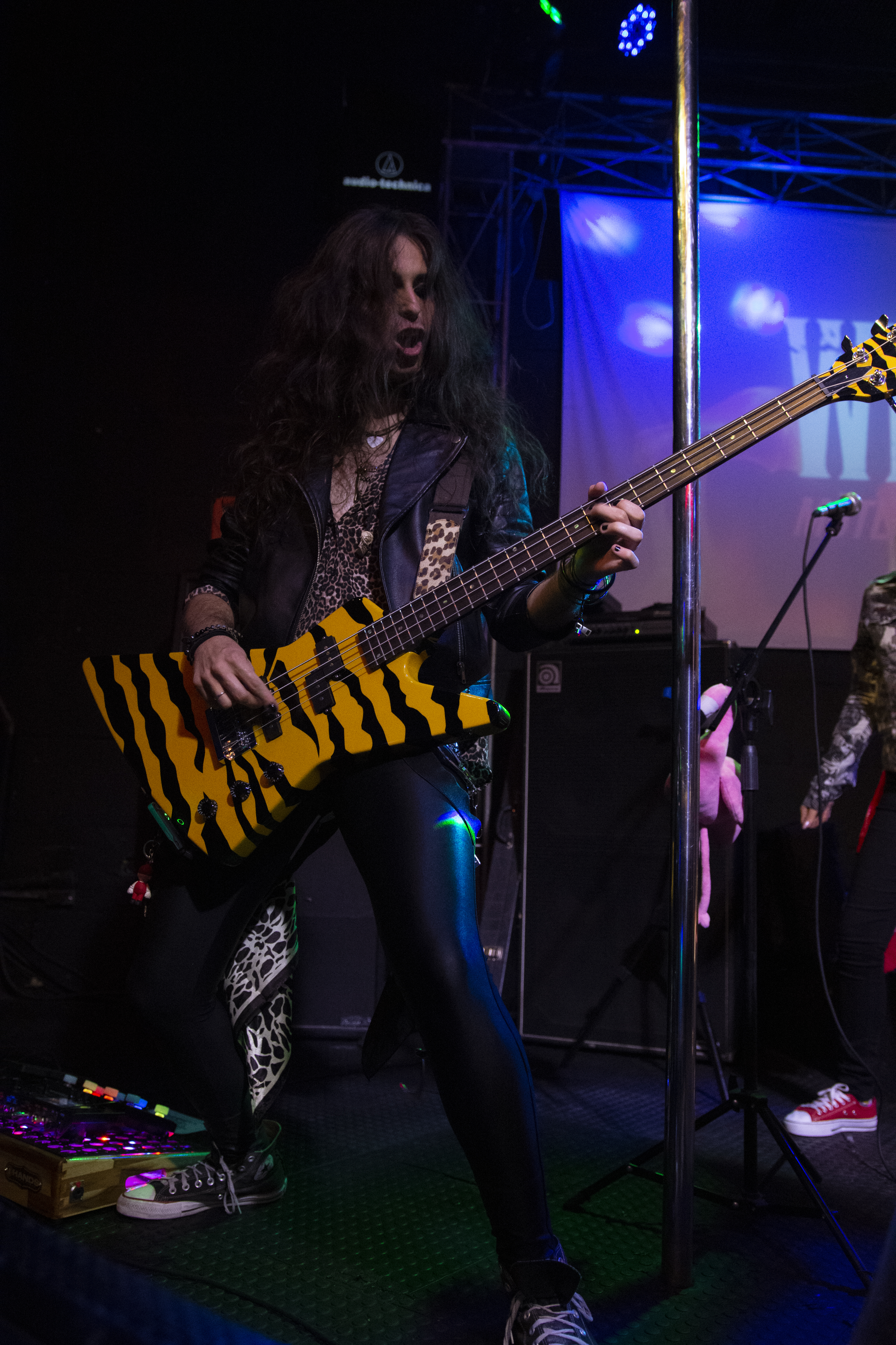 linha do tempo da banda Wild Side